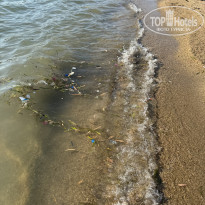 фото из отзыва ID 2628248