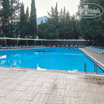 фото из отзыва ID 2628300