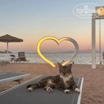 фото из отзыва ID 2628334