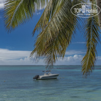 фото из отзыва ID 2628494