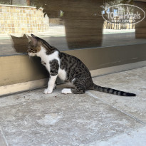 фото из отзыва ID 2628929