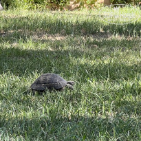 фото из отзыва ID 2628929