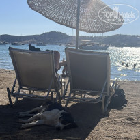 фото из отзыва ID 2628929