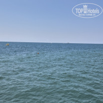 фото из отзыва ID 2628946