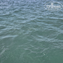 фото из отзыва ID 2628946