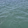 Вознесенский ЖК Моравия