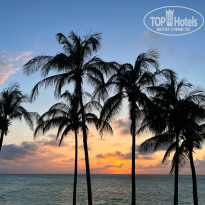 фото из отзыва ID 2627313