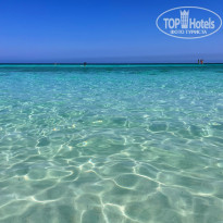 фото из отзыва ID 2627313