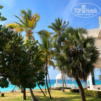 фото из отзыва ID 2627313