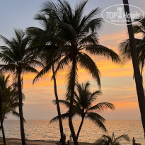 фото из отзыва ID 2627313