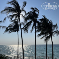 фото из отзыва ID 2627313