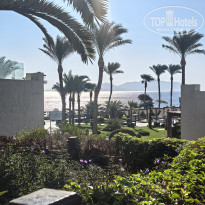 фото из отзыва ID 2629071