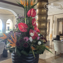 фото из отзыва ID 2629071