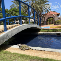 фото из отзыва ID 2629153