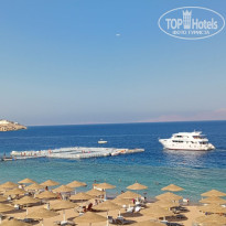 фото из отзыва ID 2629234