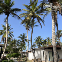 фото из отзыва ID 2629236