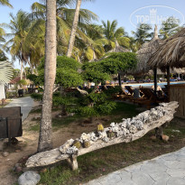 фото из отзыва ID 2629236