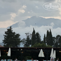 фото из отзыва ID 2629415