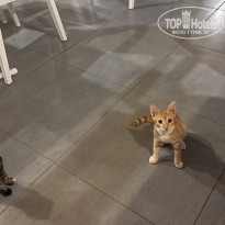 фото из отзыва ID 2629415