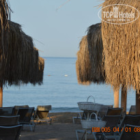 фото из отзыва ID 2629433