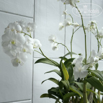 фото из отзыва ID 2629483