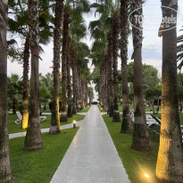 фото из отзыва ID 2629504