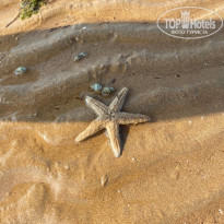 фото из отзыва ID 2627451