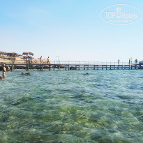 фото из отзыва ID 2629829