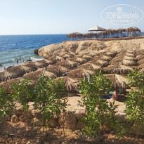 фото из отзыва ID 2629829