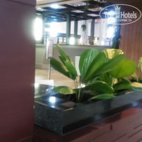 фото из отзыва ID 2629974