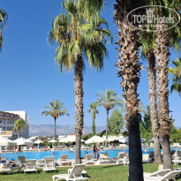 фото из отзыва ID 2629997