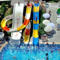 фото из отзыва ID 2620404