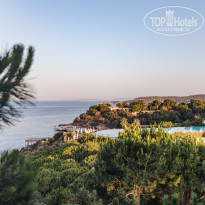 фото из отзыва ID 2629962