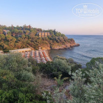 фото из отзыва ID 2629962