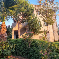 фото из отзыва ID 2629962