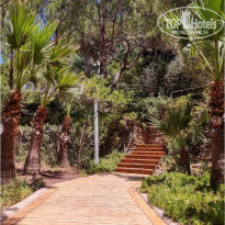 фото из отзыва ID 2629962