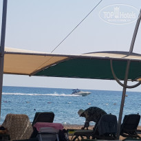 фото из отзыва ID 2627351