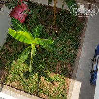 фото из отзыва ID 2627351