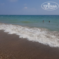 фото из отзыва ID 2627351