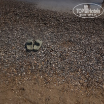 фото из отзыва ID 2627351