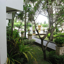 фото из отзыва ID 263726