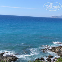 фото из отзыва ID 263824