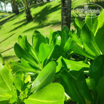 фото из отзыва ID 2630100