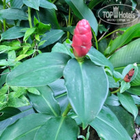 фото из отзыва ID 2630132