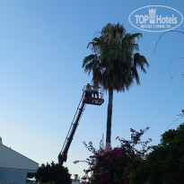 фото из отзыва ID 2630222