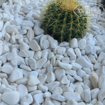 фото из отзыва ID 2630222