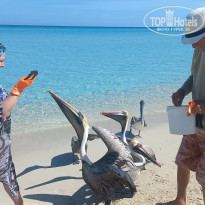 фото из отзыва ID 2630256