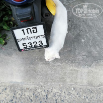 фото из отзыва ID 2630330