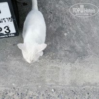 фото из отзыва ID 2630330