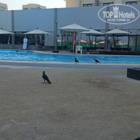 фото из отзыва ID 2630467